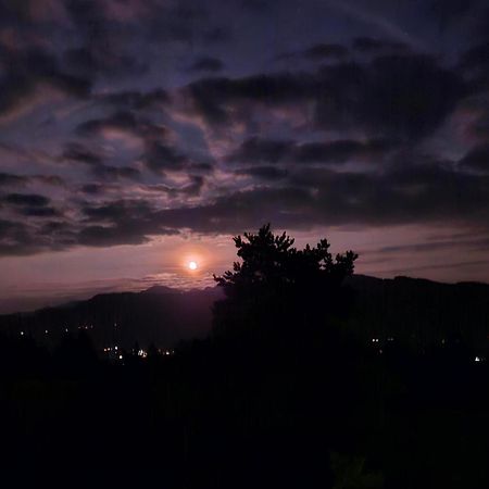 Stockreutehof Διαμέρισμα Sulzberg  Εξωτερικό φωτογραφία