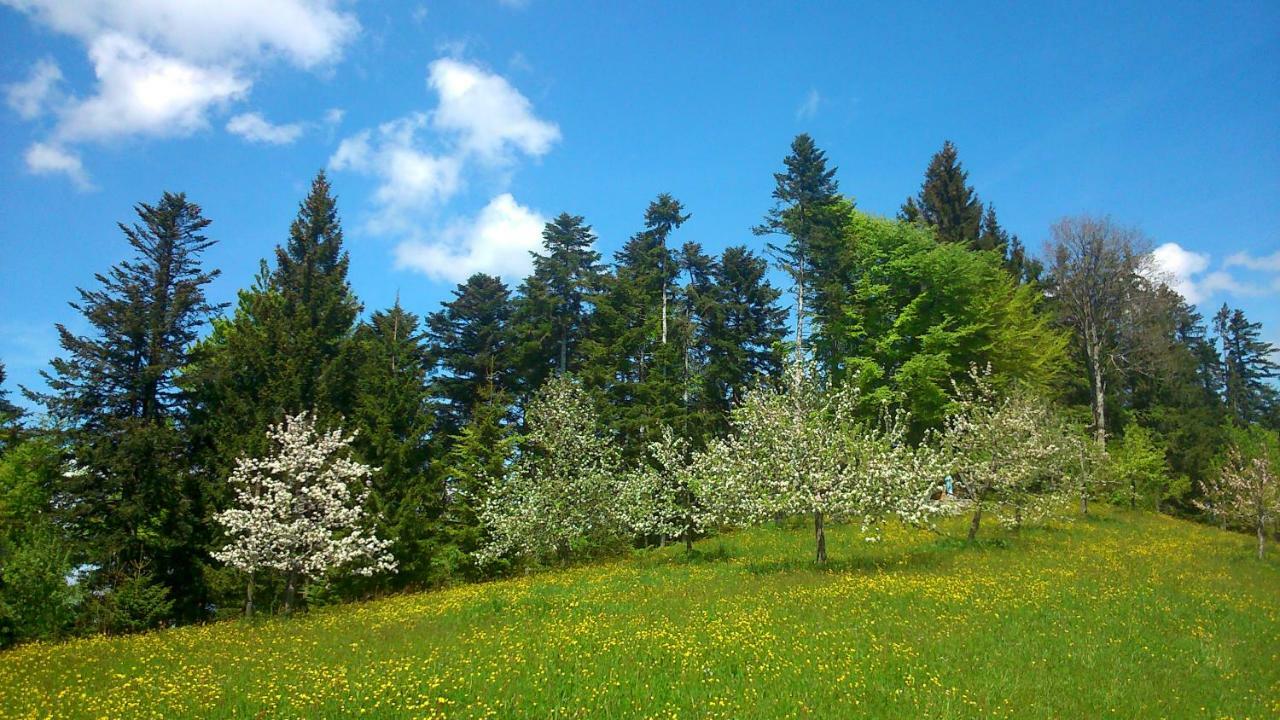Stockreutehof Διαμέρισμα Sulzberg  Εξωτερικό φωτογραφία